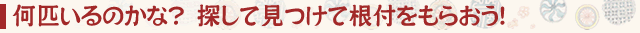 隠れた３匹の獅子を探せ！